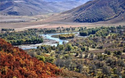 吉林“雙節(jié)”期間多地發(fā)放文化和旅游消費券